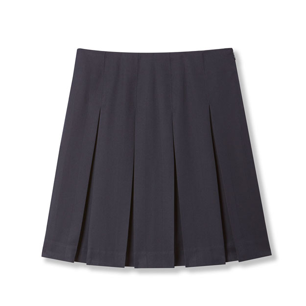 Long Box Pleat Skirt