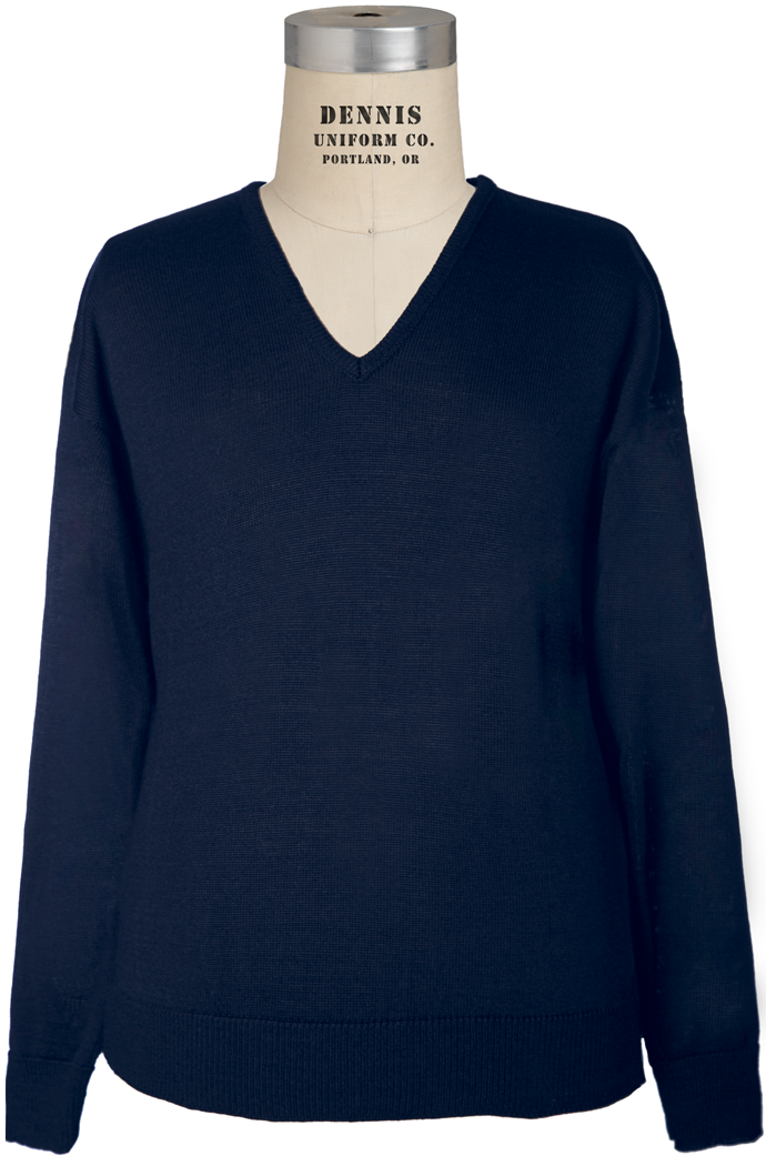 Long Sleeve V-Neck Pullover Sweater