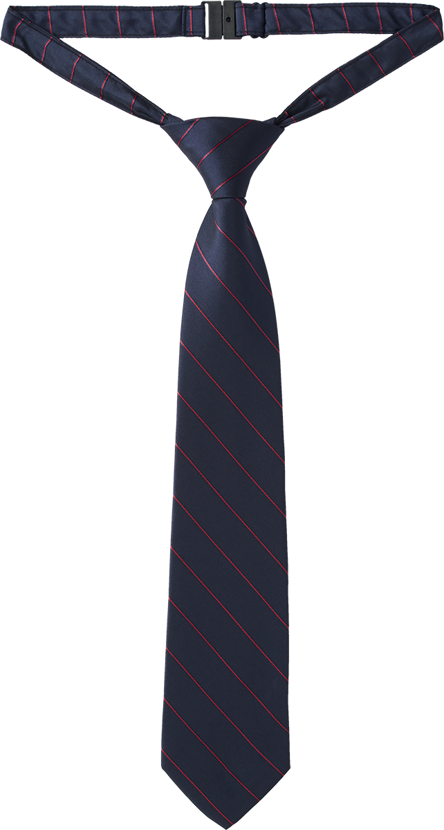 Clip-On Tie