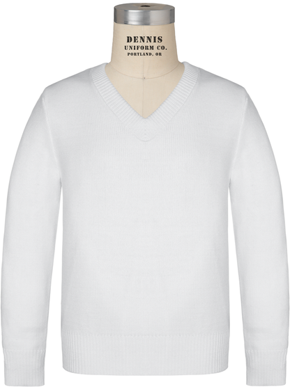 Long Sleeve V-Neck Pullover Sweater